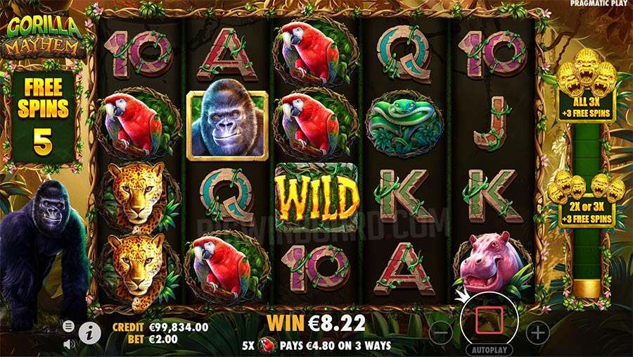 Gorilla Mayhem slot