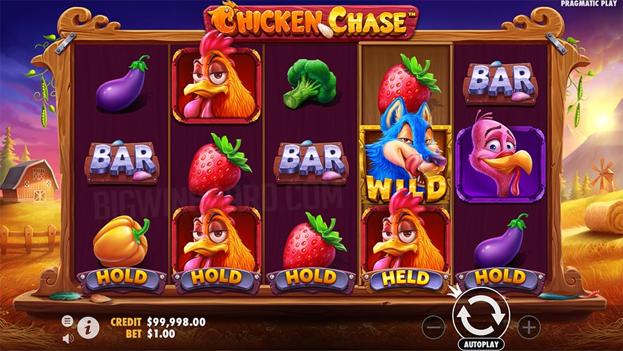 Chicken Chase slot