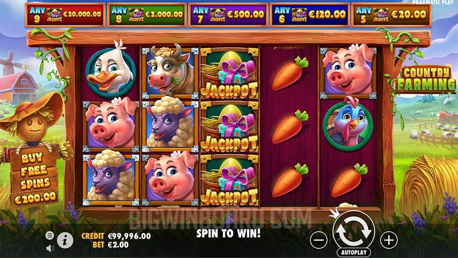 Country Farming slot