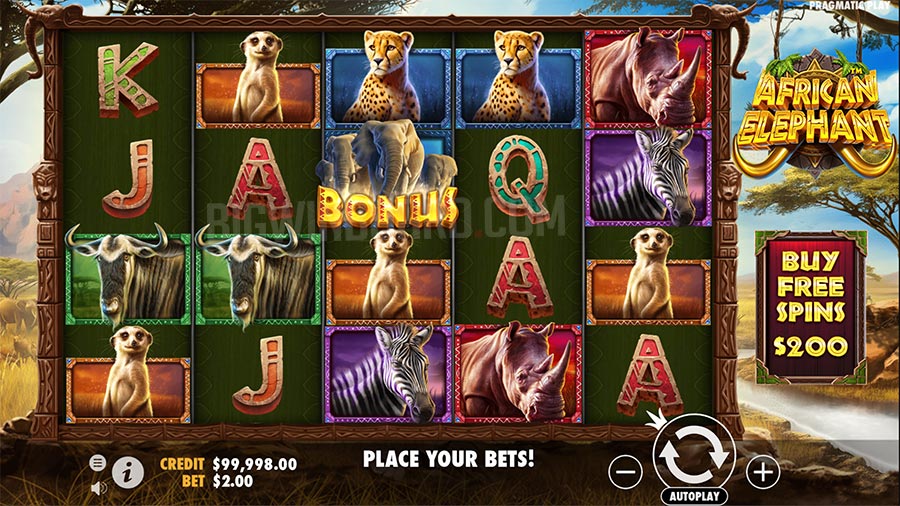 African Elephant slot