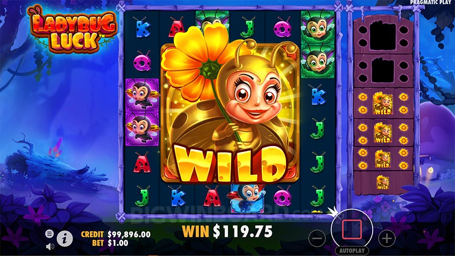 Ladybug Luck slot